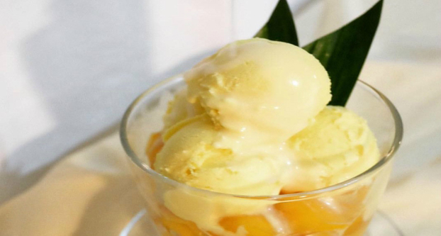 Langwerpig Retentie Bowling Sorbetijs mango - Lekker en gezond recept