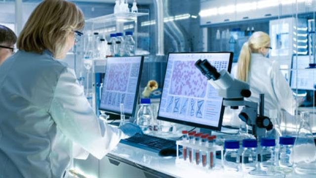 Onderzoekers bekijken of een cel-therapie met vitamine D veilig is