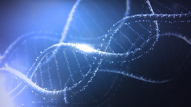 DNA helix