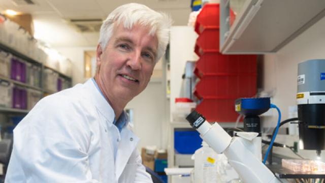 Professor Eelco de Koning zit aan een microscoop