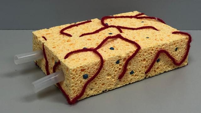 Kunstmatige transplantatieplaats foto door Sandra Smink