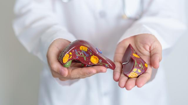 Jo Panuwat D / Shutterstock.com