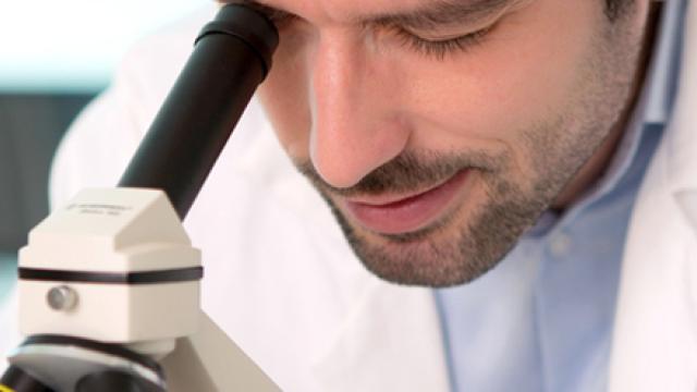 Slechte darmbacteriën Shutterstock: production perig