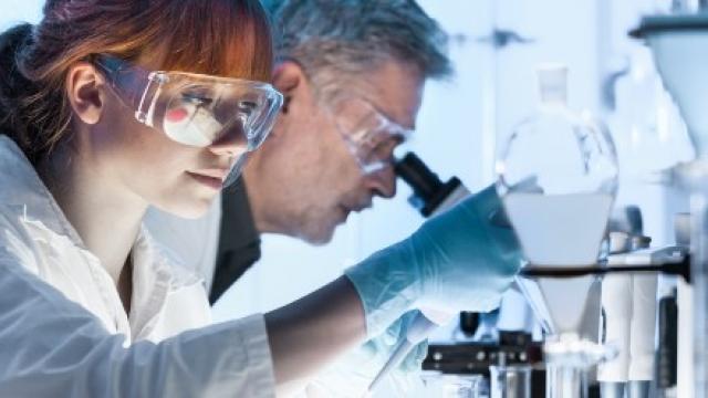 Foto van onderzoekers die werken in een laboratorium