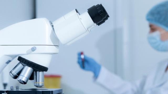 De rol van bacteriofagen foto Shutterstock Prostock-studio