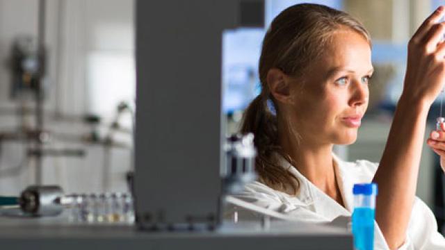 Bruin vet actiever maken Shutterstock: Lightpoet