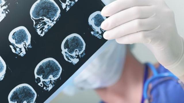 Shutterstock: sfam photo