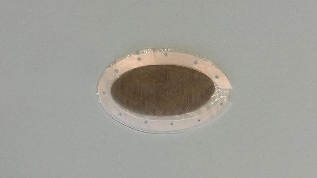 Verpakking voor nieuwe insulineproducerende cellen, doorzichtige ovaal zakje met rasterpatroon