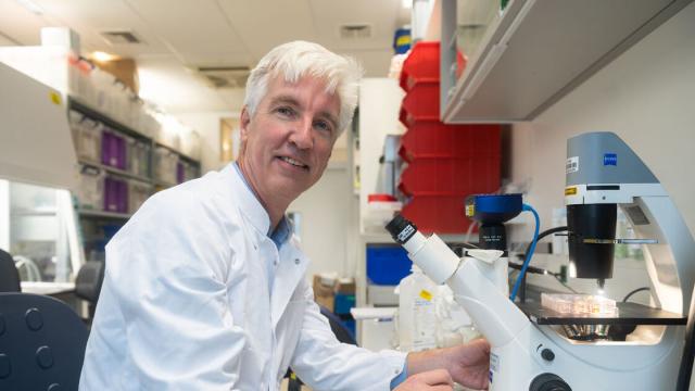 Prof. dr. Eelco de Koning, Cure One