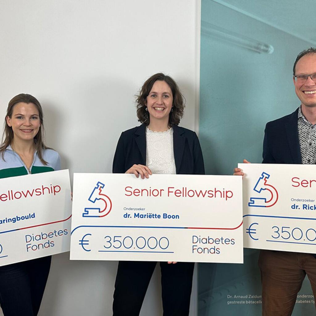 Voor onderzoekers bijvoorbeeld fellowship programma