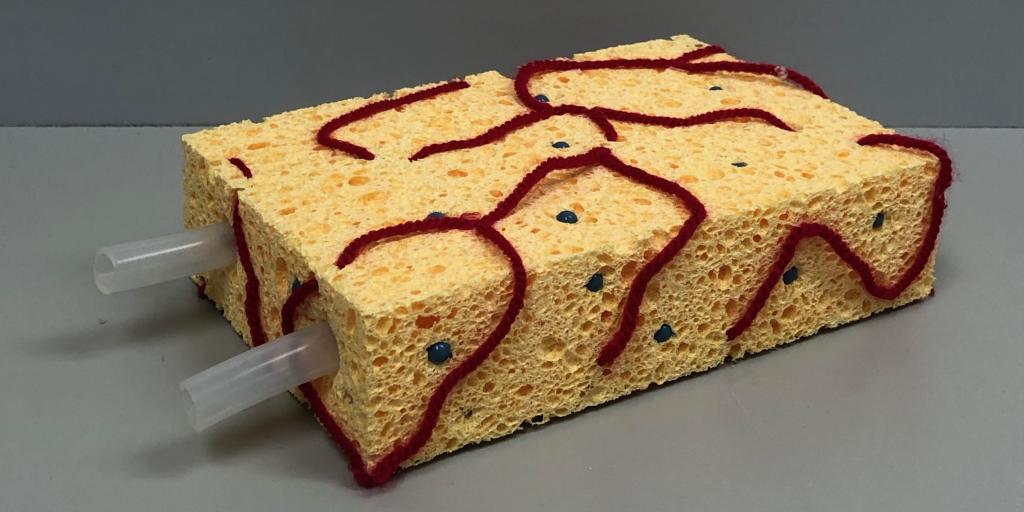 Kunstmatige transplantatieplaats foto door Sandra Smink