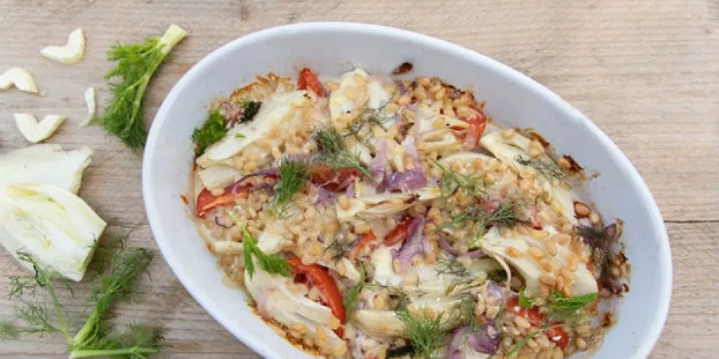 Venkel en tomatengratin