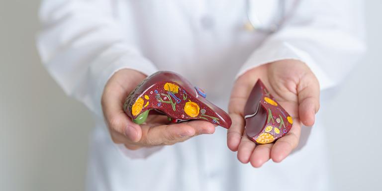 Jo Panuwat D / Shutterstock.com