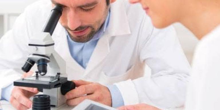 Insulineproducerende cellen, Shutterstock