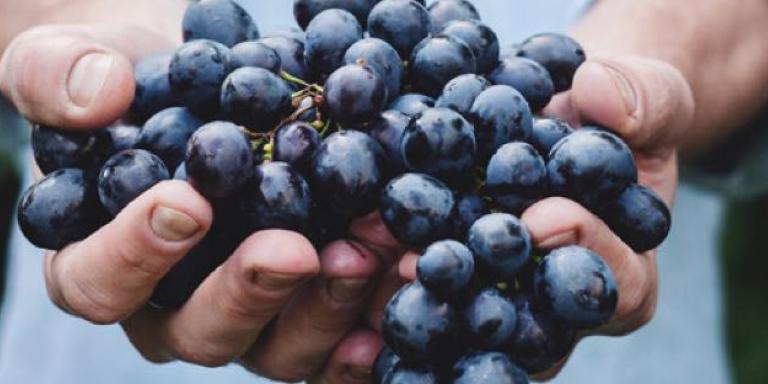 gezonde tussendoortjes