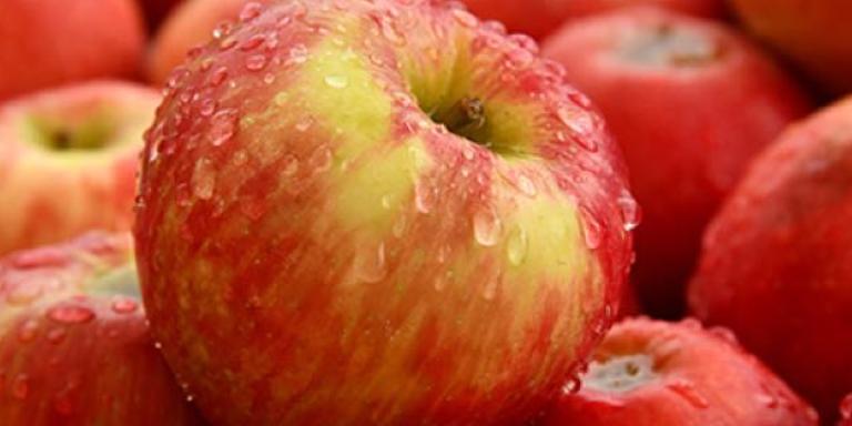 Koolhydraten in fruit