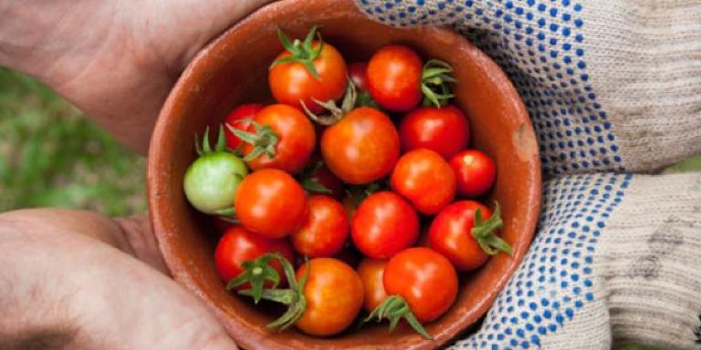 Tafel met verschillende soorten groente