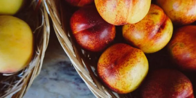 wat is fructose