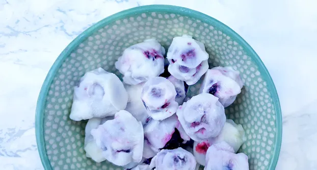Frozen yoghurt blauwe bessen