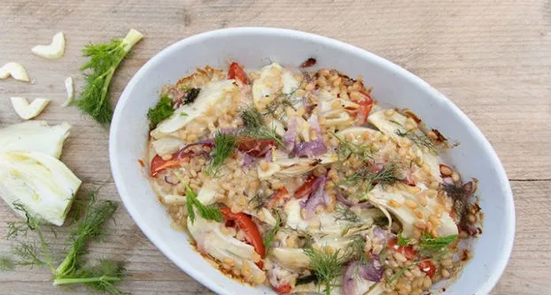 Venkel en tomatengratin