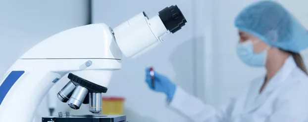 De rol van bacteriofagen foto Shutterstock Prostock-studio