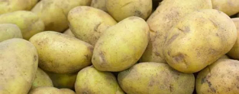 Aardappelen