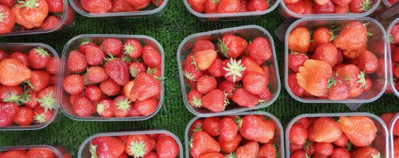 Is suiker in fruit ongezond?