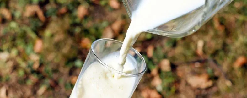 Glas met melk