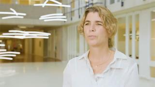 Dr. Carlotti vertelt over onderzoek naar cellen bij diabetes type 1